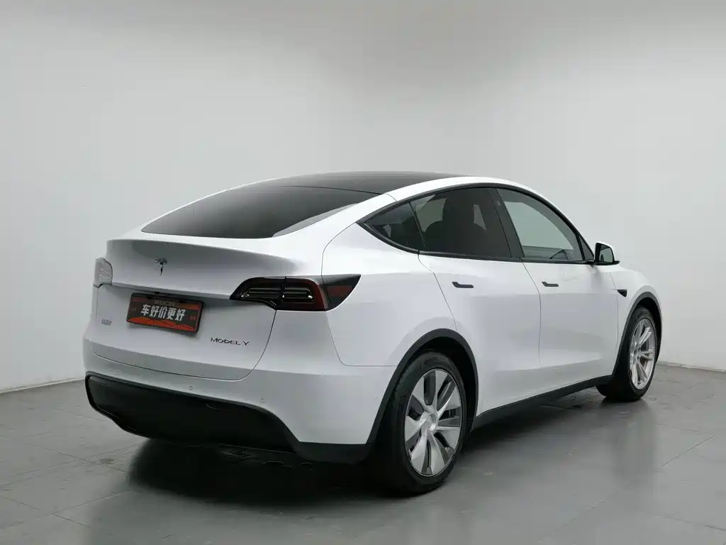Tesla Model Y — миниатюра 2