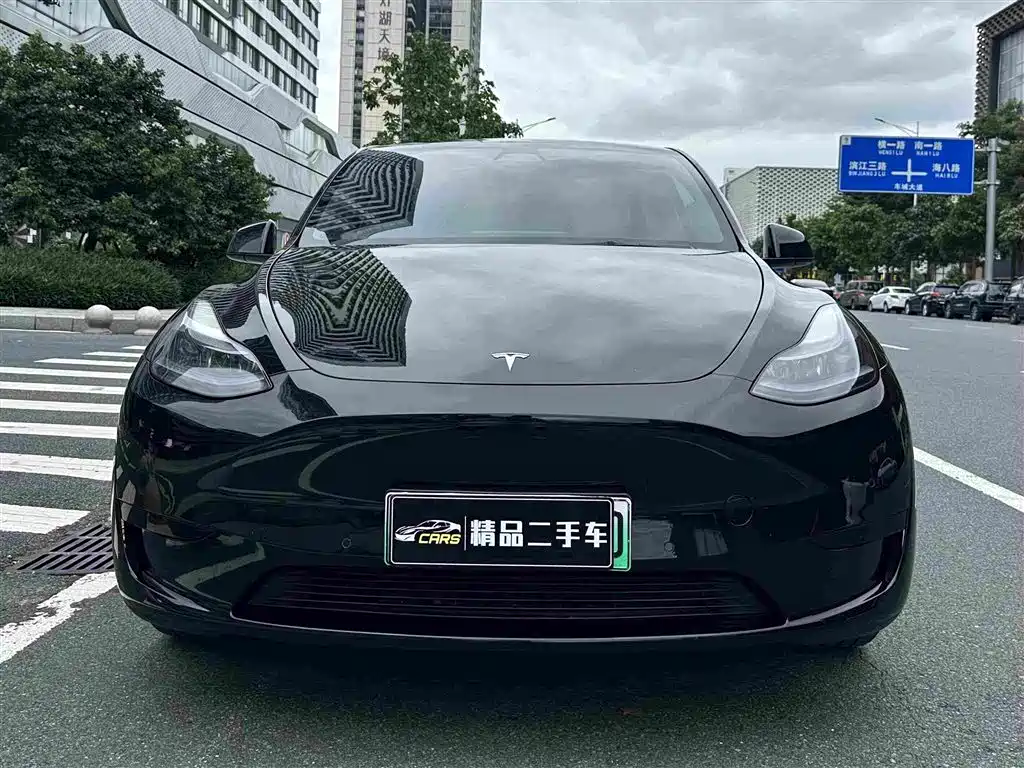 Tesla Model Y — миниатюра 2