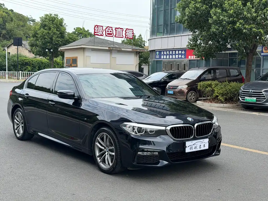 BMW 5 Series — миниатюра 3