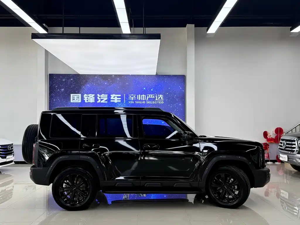 Haval Menglong New Energy — миниатюра 7