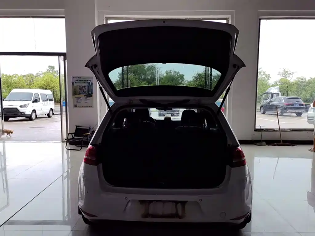 Volkswagen Golf — миниатюра 19