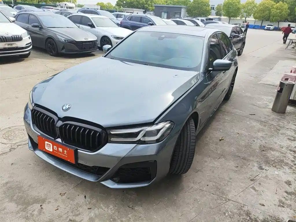 BMW 5 Series (Import) 2021