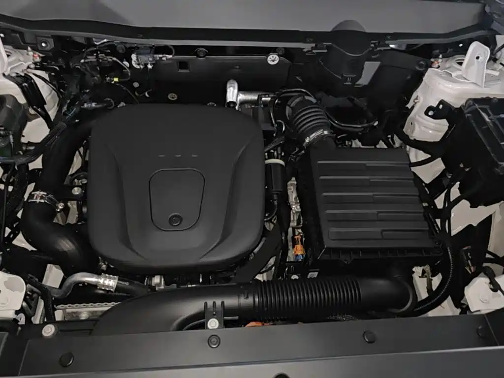 Haval Menglong New Energy — миниатюра 20