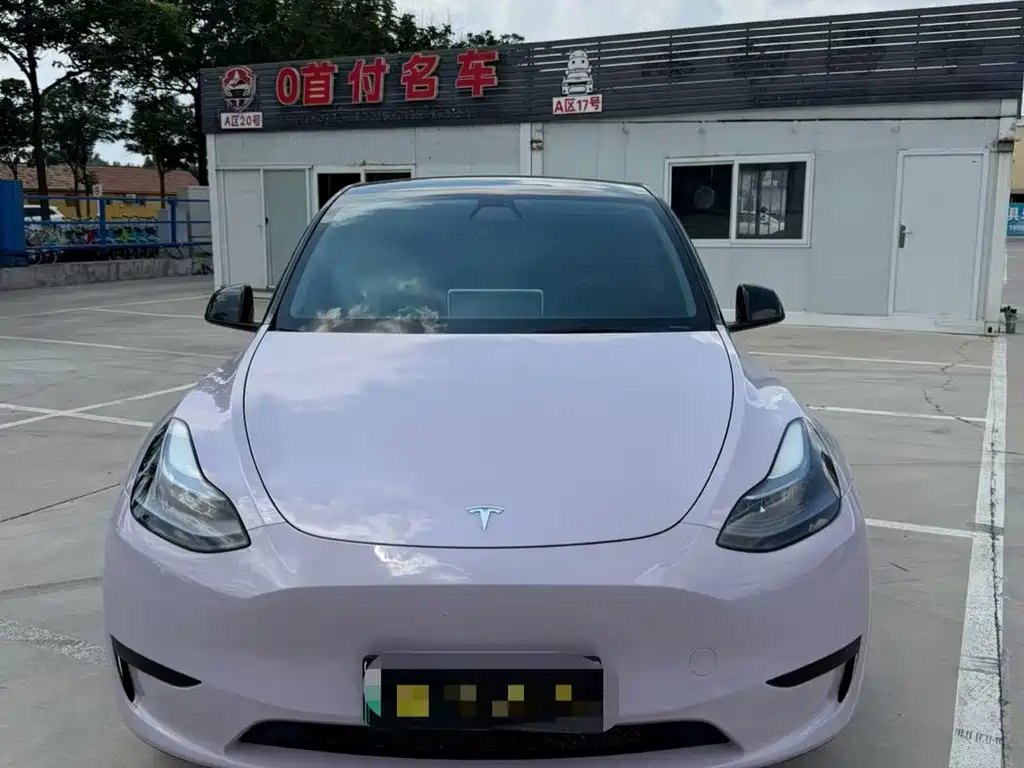Tesla Model Y — миниатюра 2