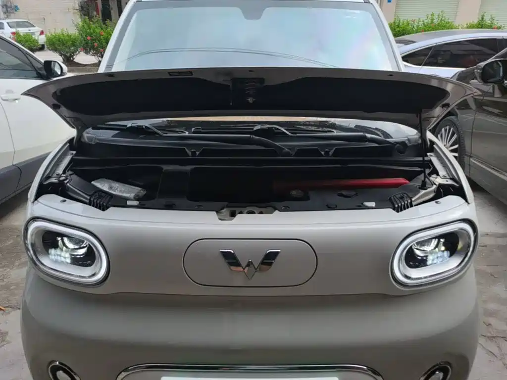 Wuling MINIEV — миниатюра 20