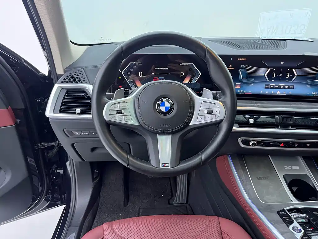 BMW X5 — миниатюра 9