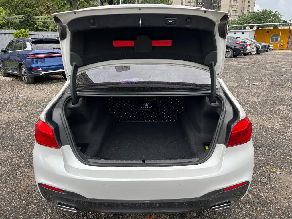 BMW 5 Series 5 2019 525Li M Sport