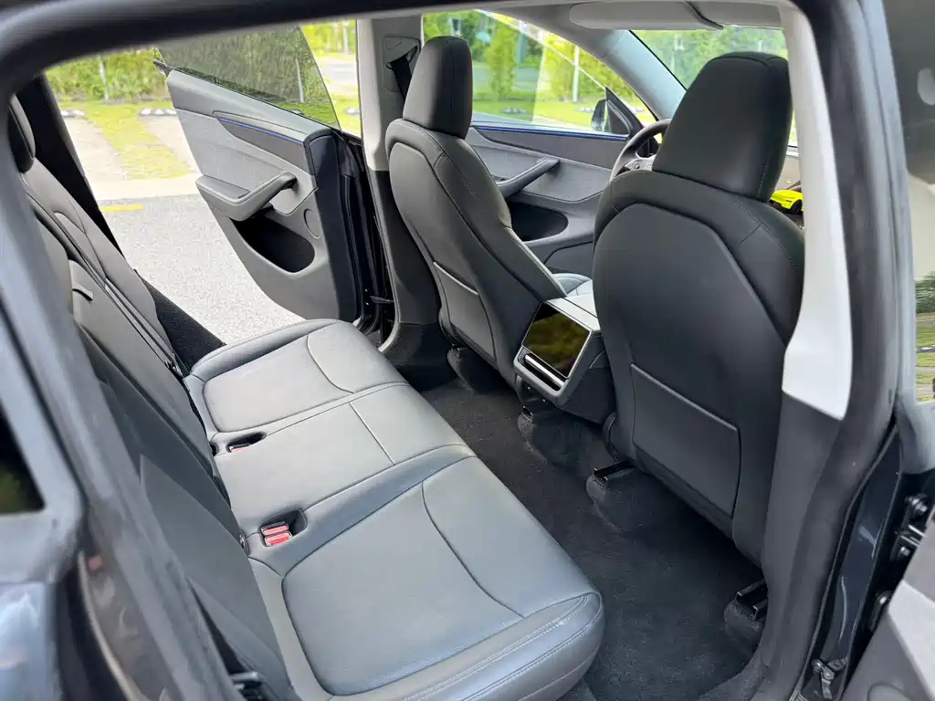 Tesla Model Y — миниатюра 9