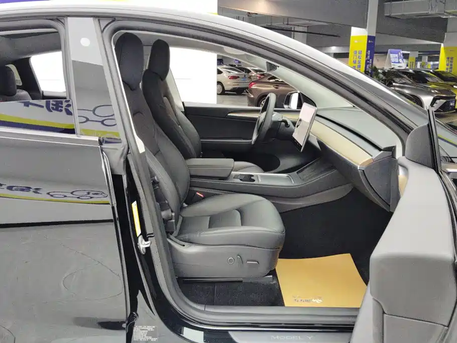 Tesla Model Y — миниатюра 8