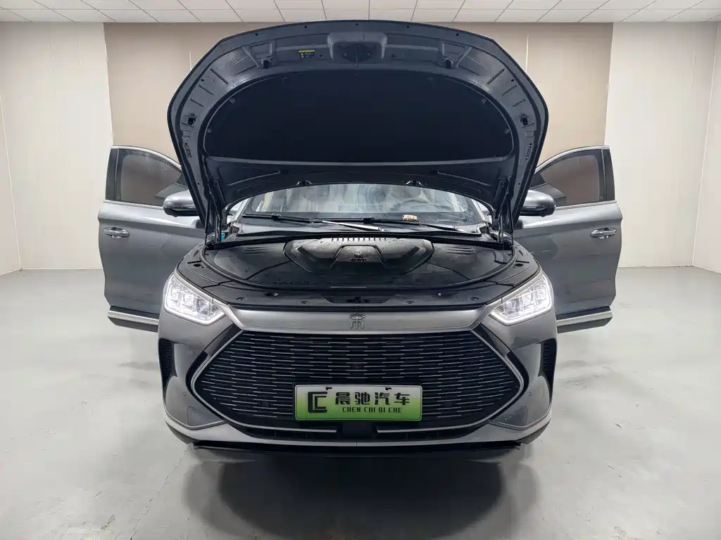 BYD PLUS New Energy — миниатюра 16