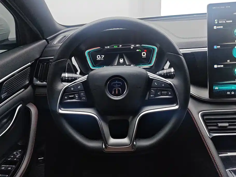BYD PLUS — миниатюра 15