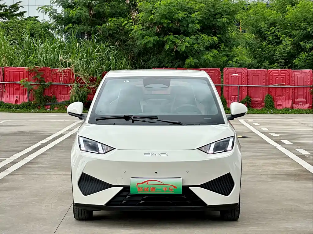 BYD Seagull 2025 Smart Drive 305km Freedom