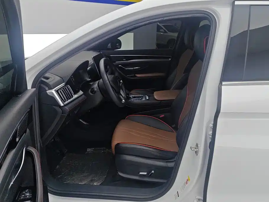 BYD PLUS — миниатюра 9