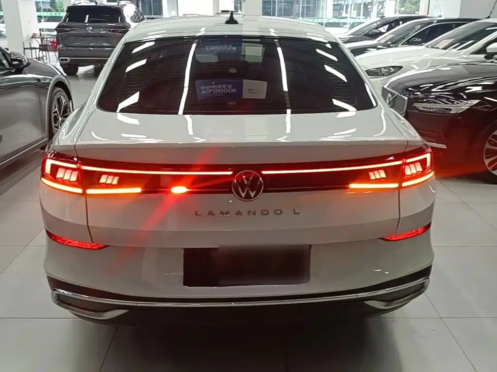 Volkswagen Lamando — миниатюра 6