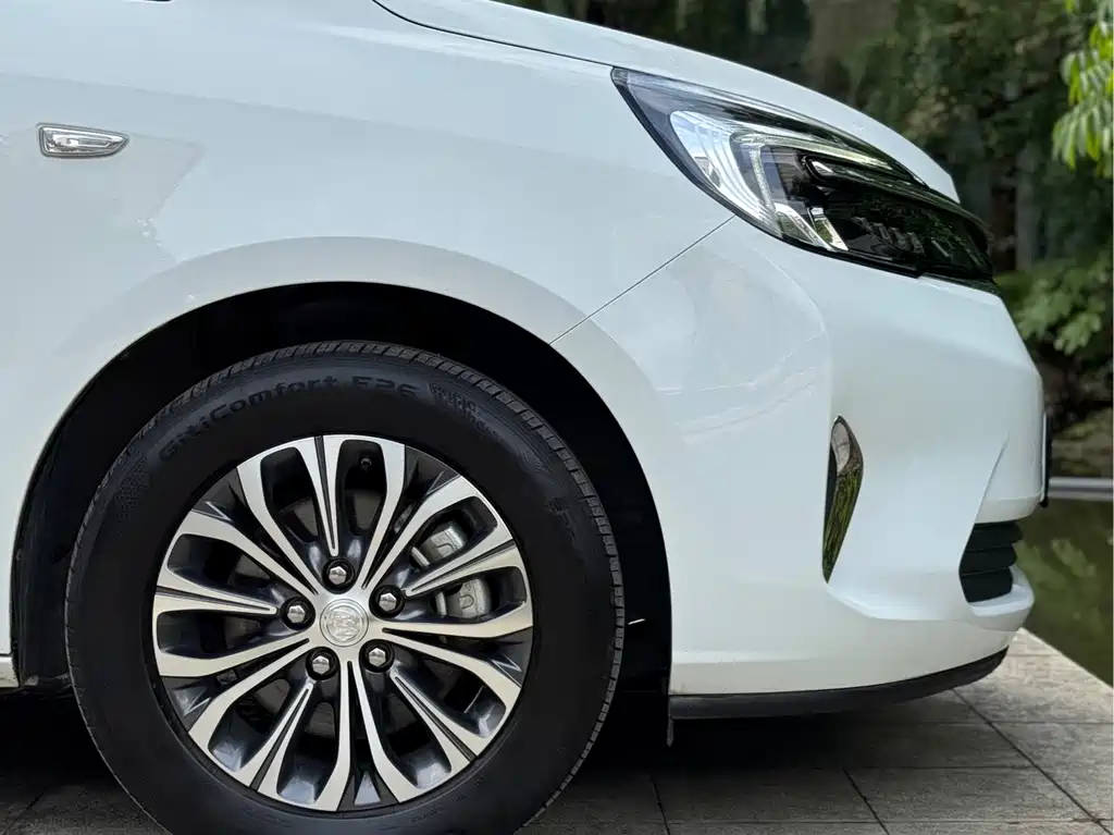 Buick GL8 — миниатюра 17