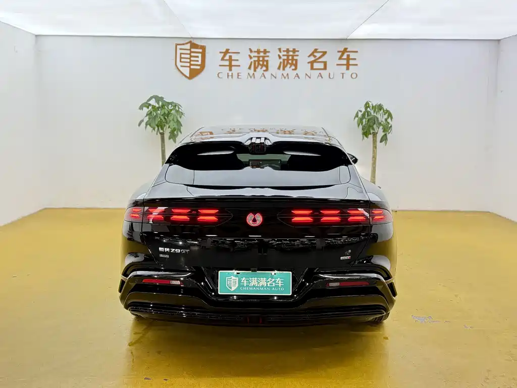 Denza Denza Z9GT — миниатюра 11