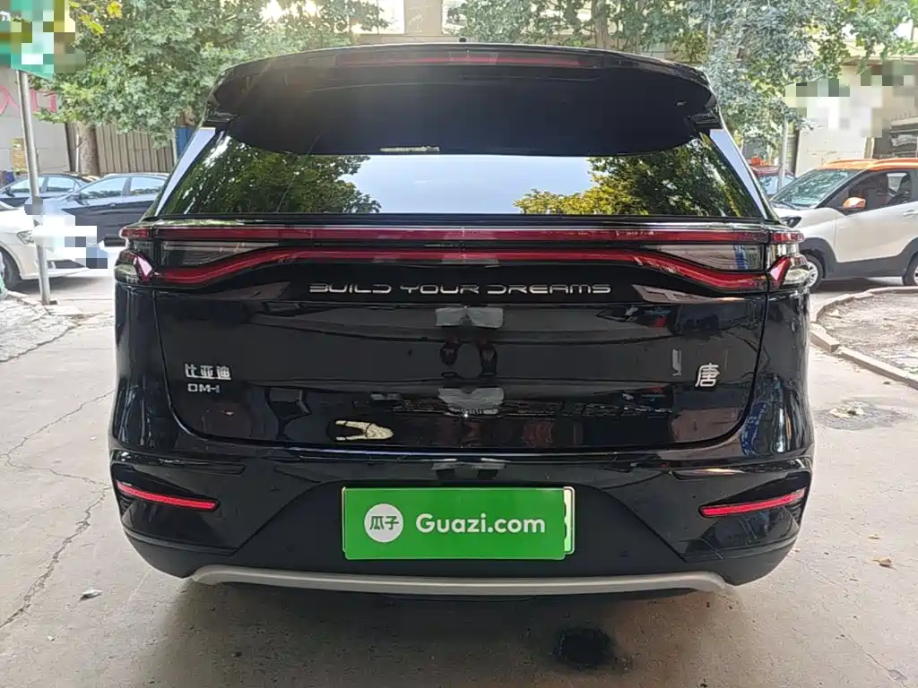 BYD Tang New Energy — миниатюра 6