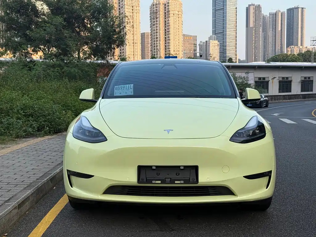 Tesla Model Y — миниатюра 2