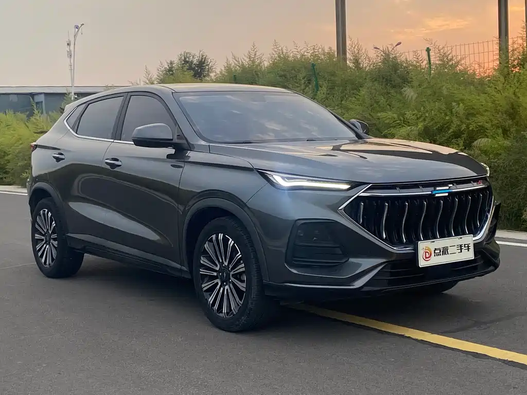 Oshan Oushang X5 — миниатюра 3