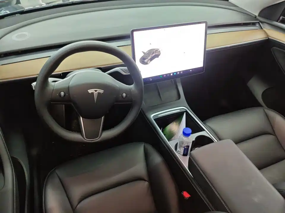Tesla Model Y — миниатюра 4