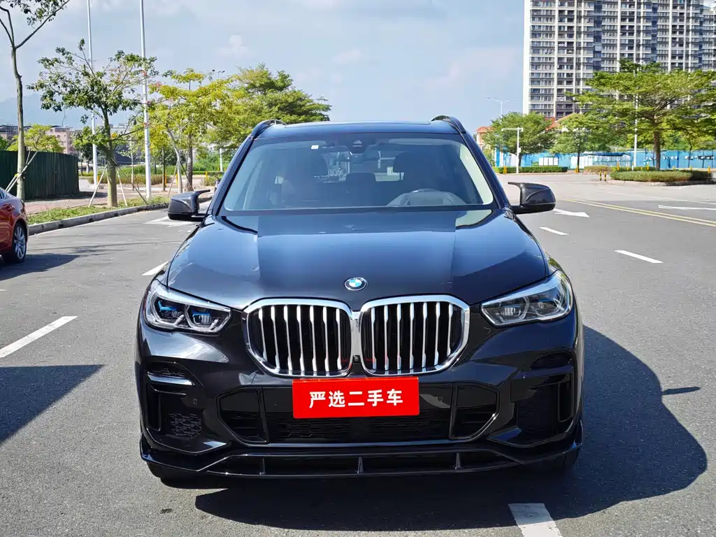 BMW X5 — миниатюра 3