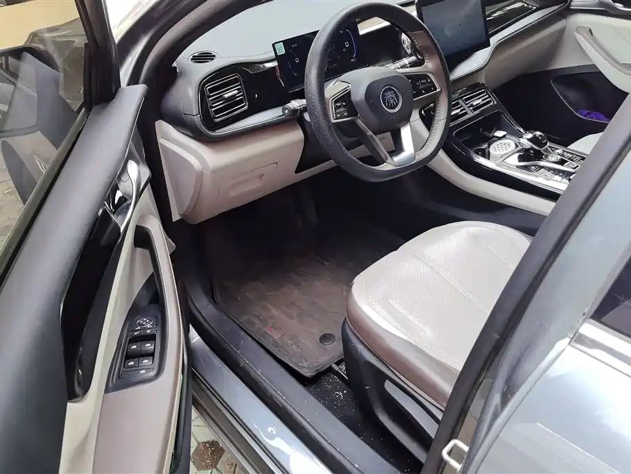 BYD Qin Plus PLUS 2024 DM-i 55KM Lead
