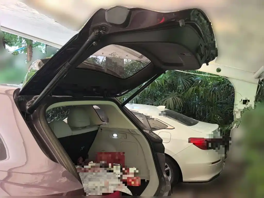 Leapmotor Leapmotor B10 — миниатюра 16