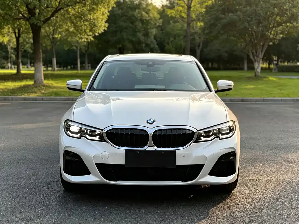 BMW 3 Series — миниатюра 2