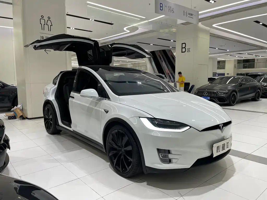 Tesla Model X — миниатюра 2