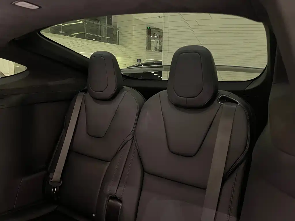 Tesla Model X — миниатюра 8
