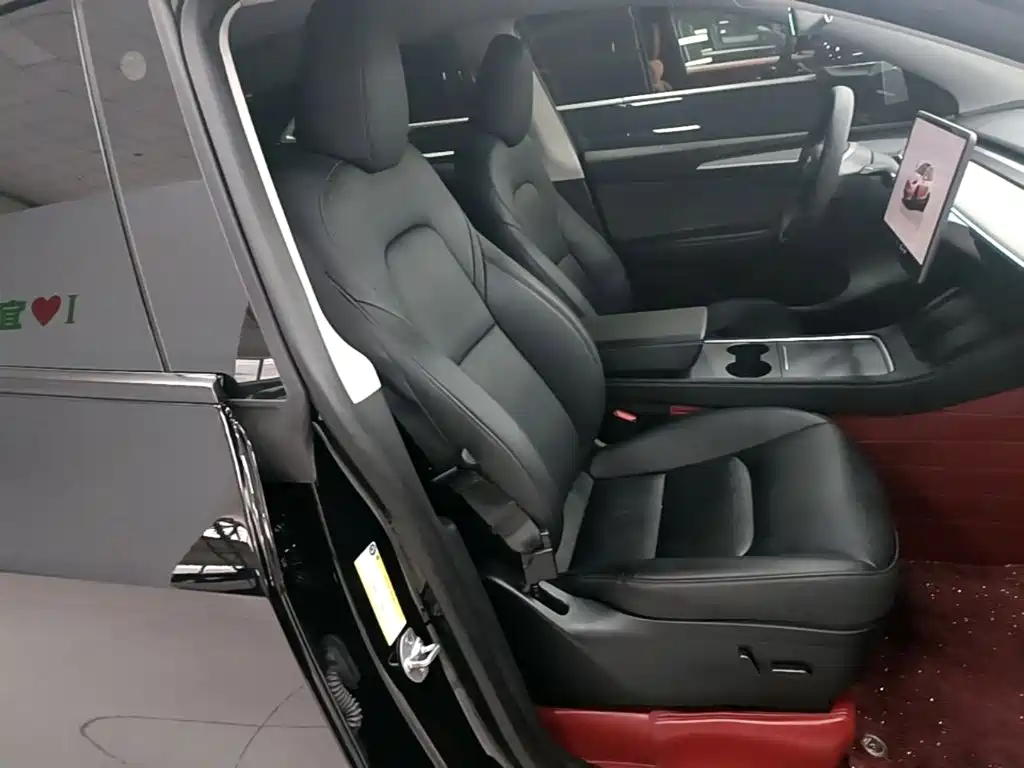 Tesla Model Y — миниатюра 25
