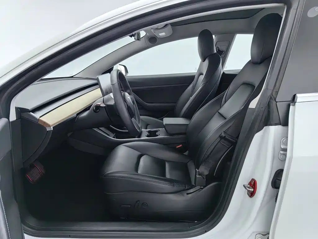 Tesla Model 3 — миниатюра 10