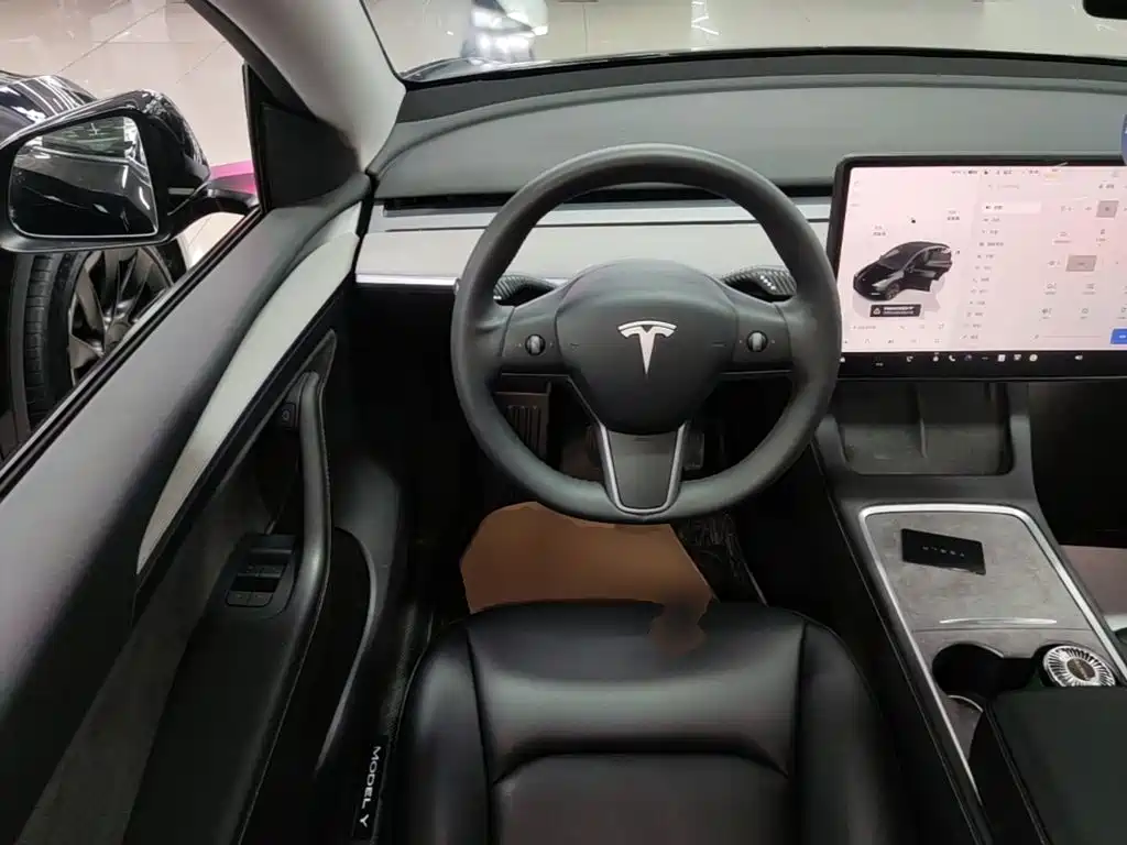 Tesla Model Y — миниатюра 11