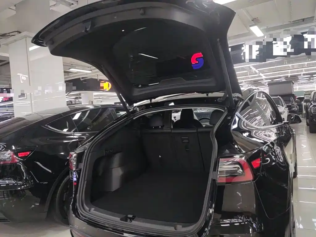 Tesla Model Y — миниатюра 19