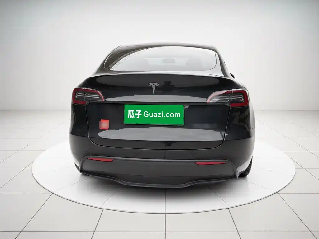 Tesla Model Y — миниатюра 5