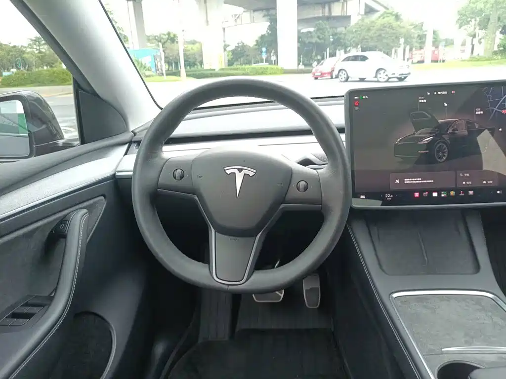 Tesla Model Y — миниатюра 11