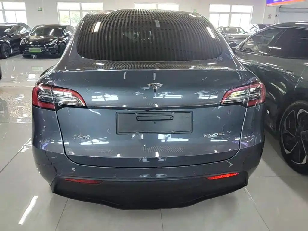 Tesla Model Y — миниатюра 6