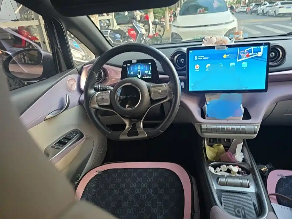 BYD Dolphin 2021 405km Fashion