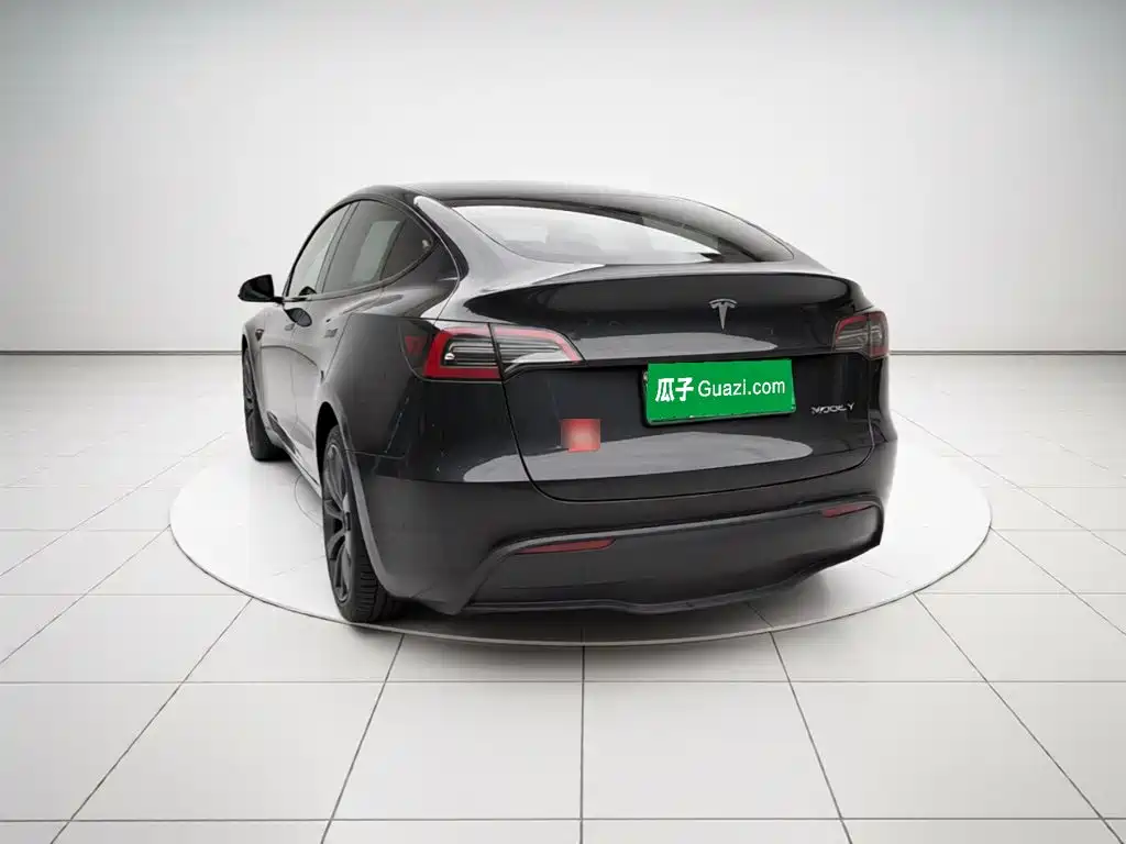 Tesla Model Y — миниатюра 4