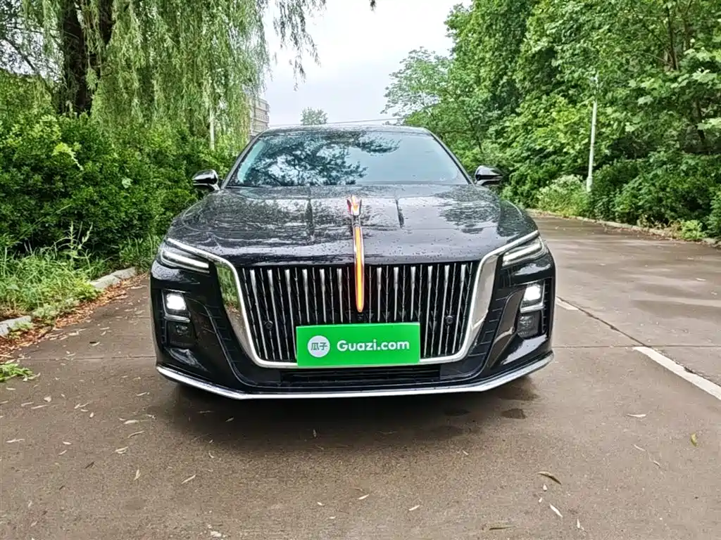 Hongqi H5 2024 2.0T AT