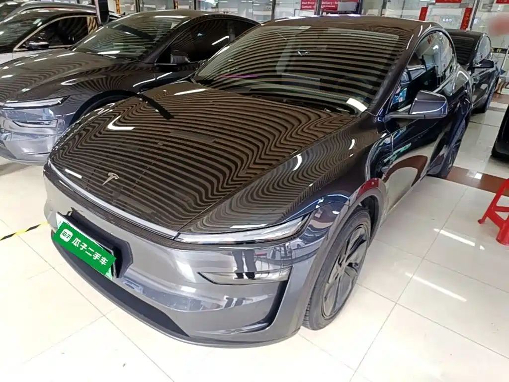 Tesla Model Y — миниатюра 2