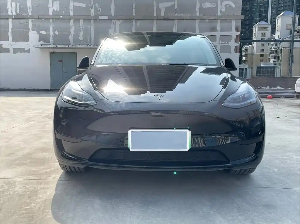 Tesla Model Y — миниатюра 2