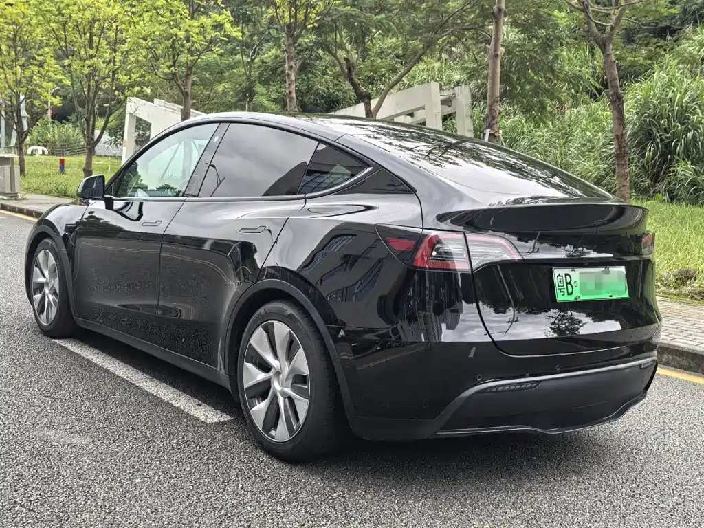 Tesla Model Y — миниатюра 6