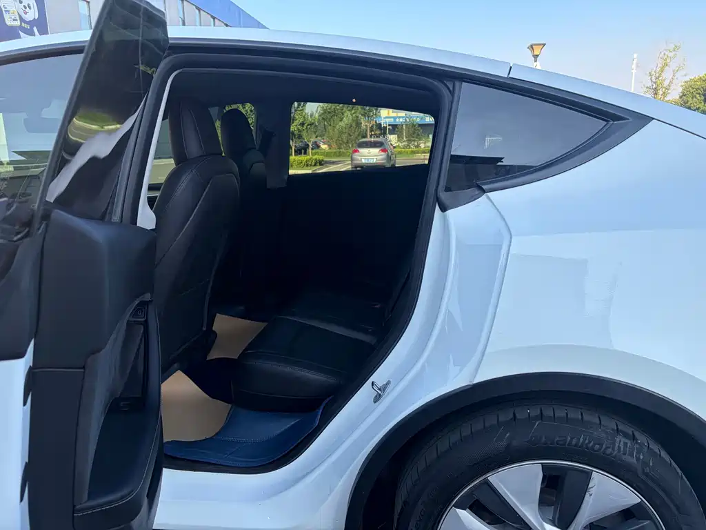 Tesla Model Y — миниатюра 10