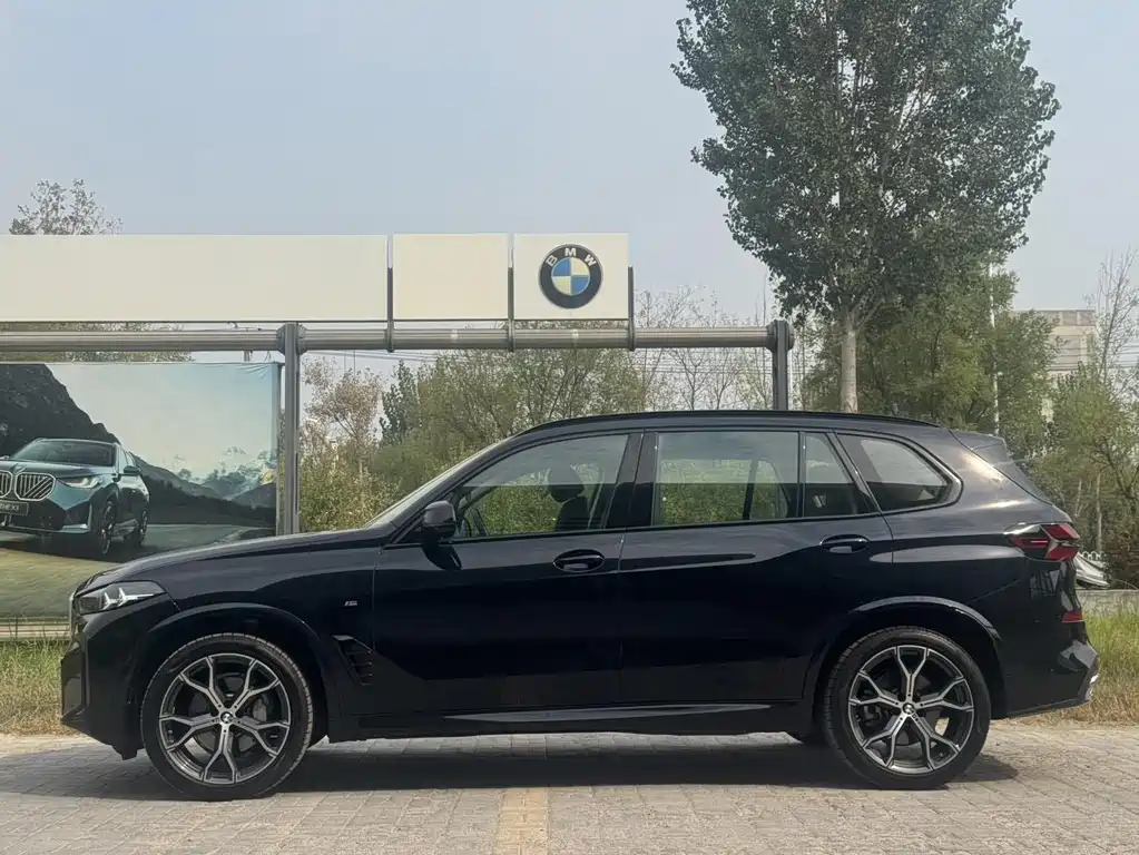 BMW X5 — миниатюра 5
