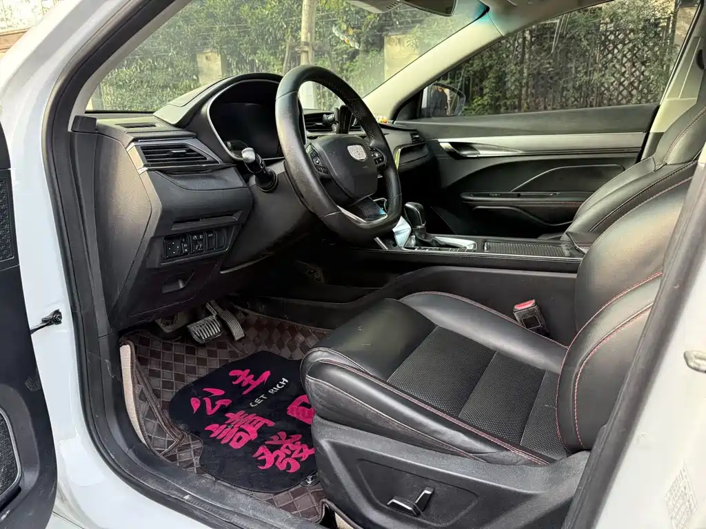 GEELY AUTOMOBILE BINRUI