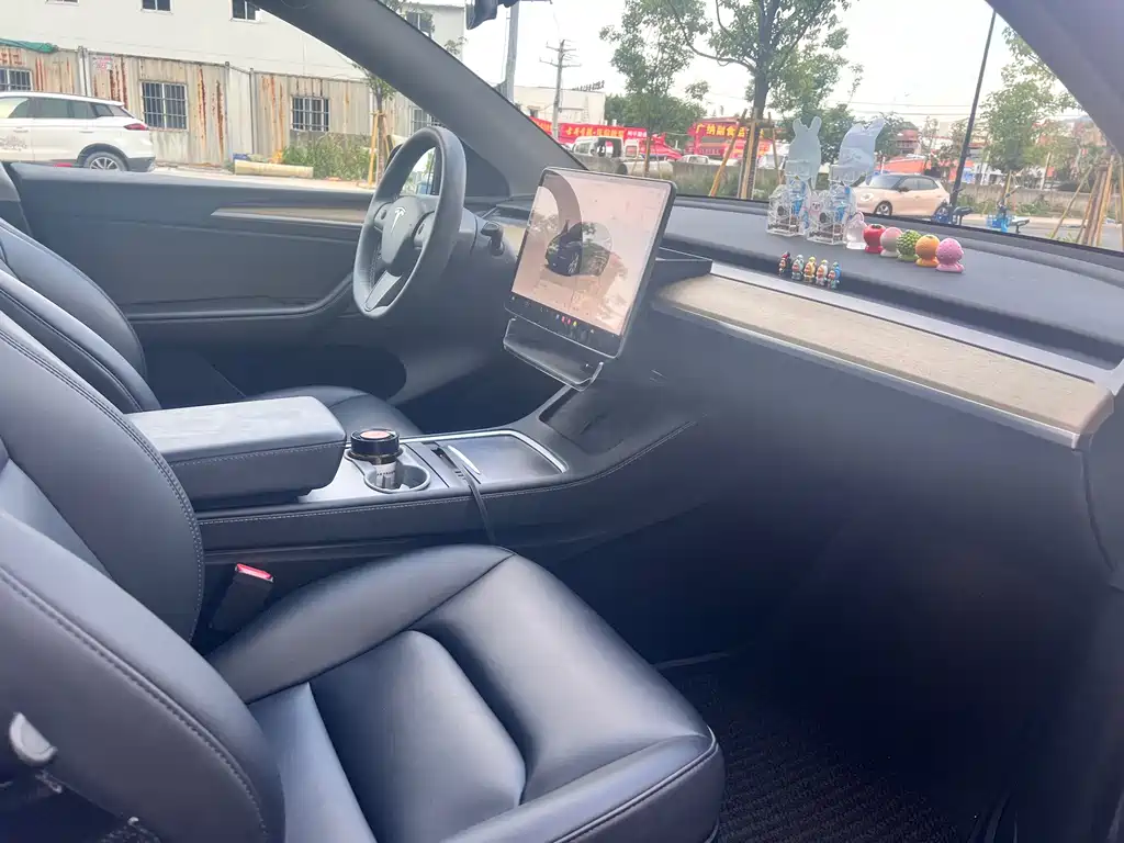Tesla Model Y — миниатюра 7