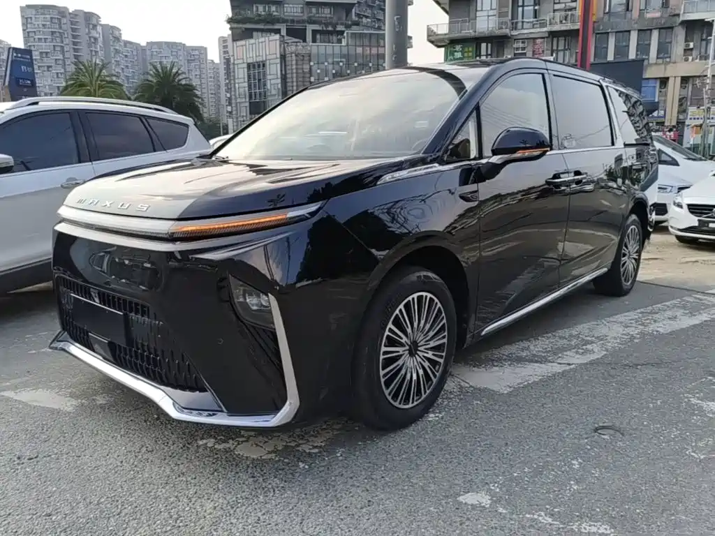 Maxus Dajia 9 — миниатюра 2