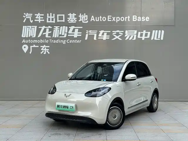 Wuling Bingo