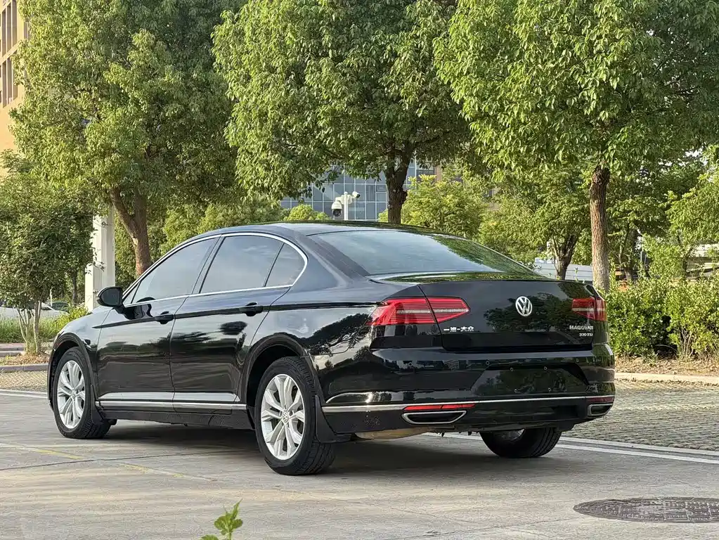 Volkswagen Magotan 2018 330TSI DSG Luxury